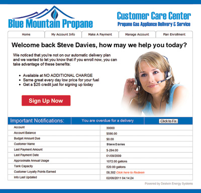 Customer Data Portal